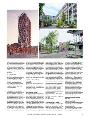 Zukunft Winterthur 第 13 页