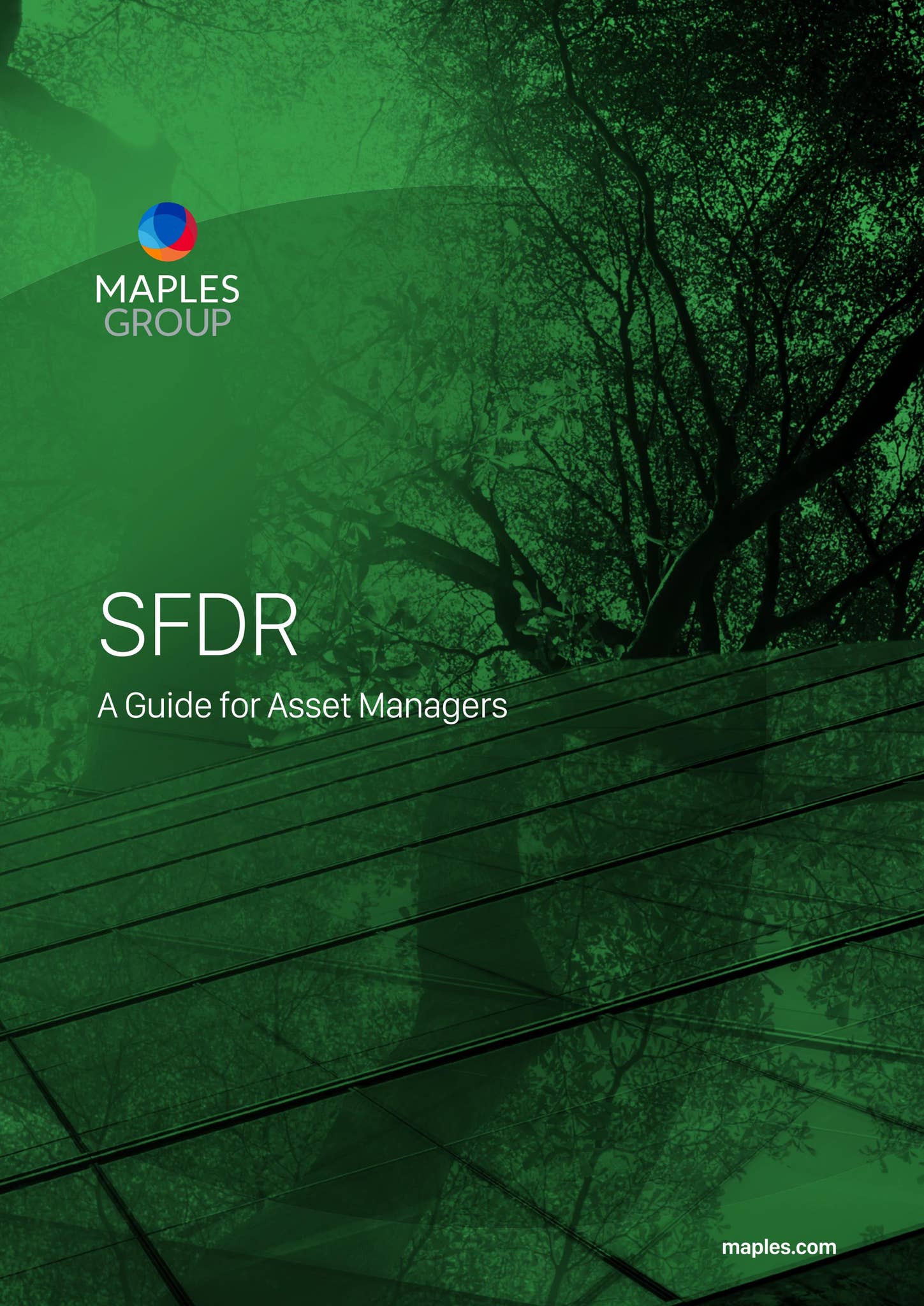 SFDR A Guide for Asset Managers by Maples Group - Issuu