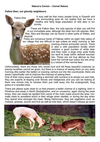 Page 26