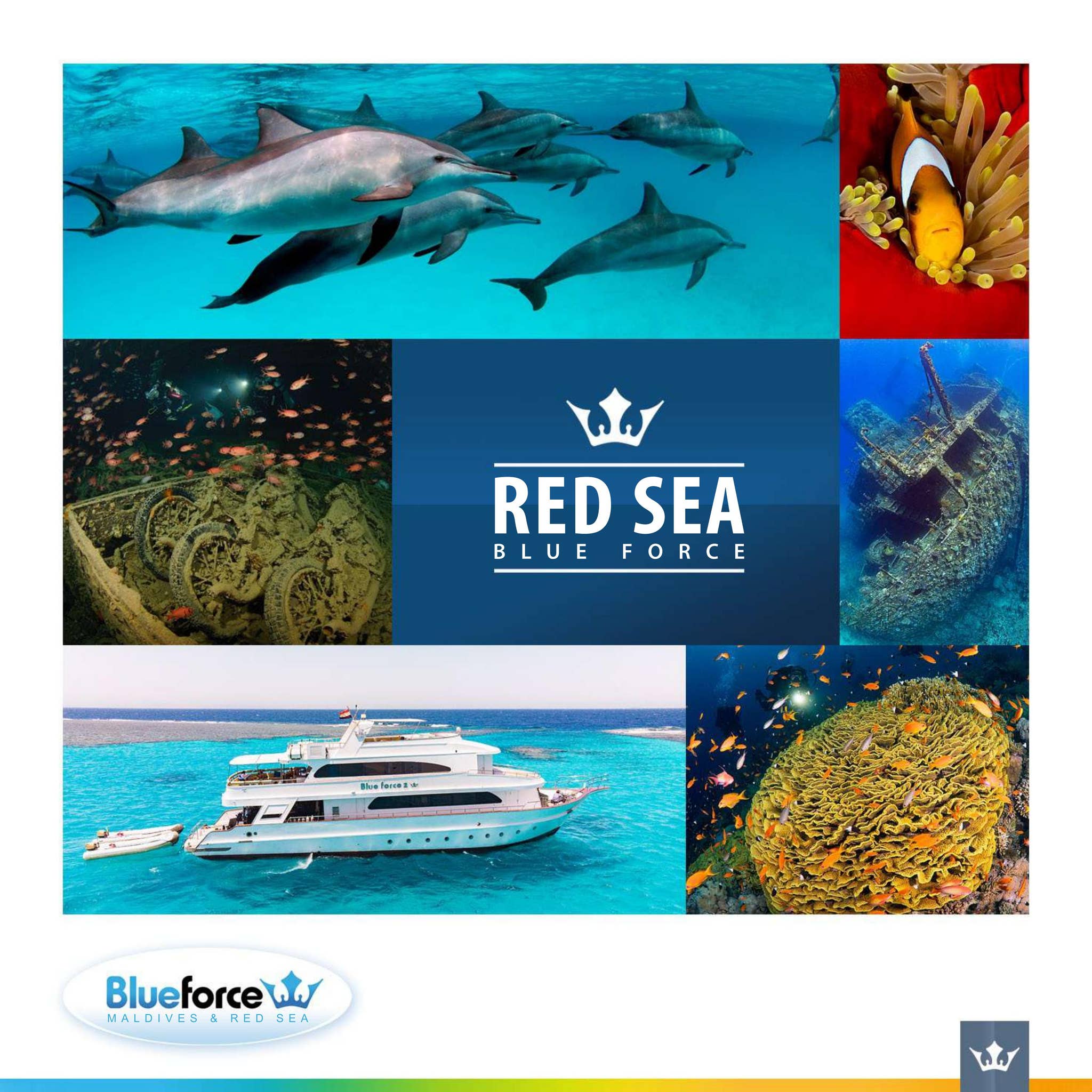 RED SEA Blue Force BROCHURE 2024-2025 by BLUE FORCE FLEET - Issuu
