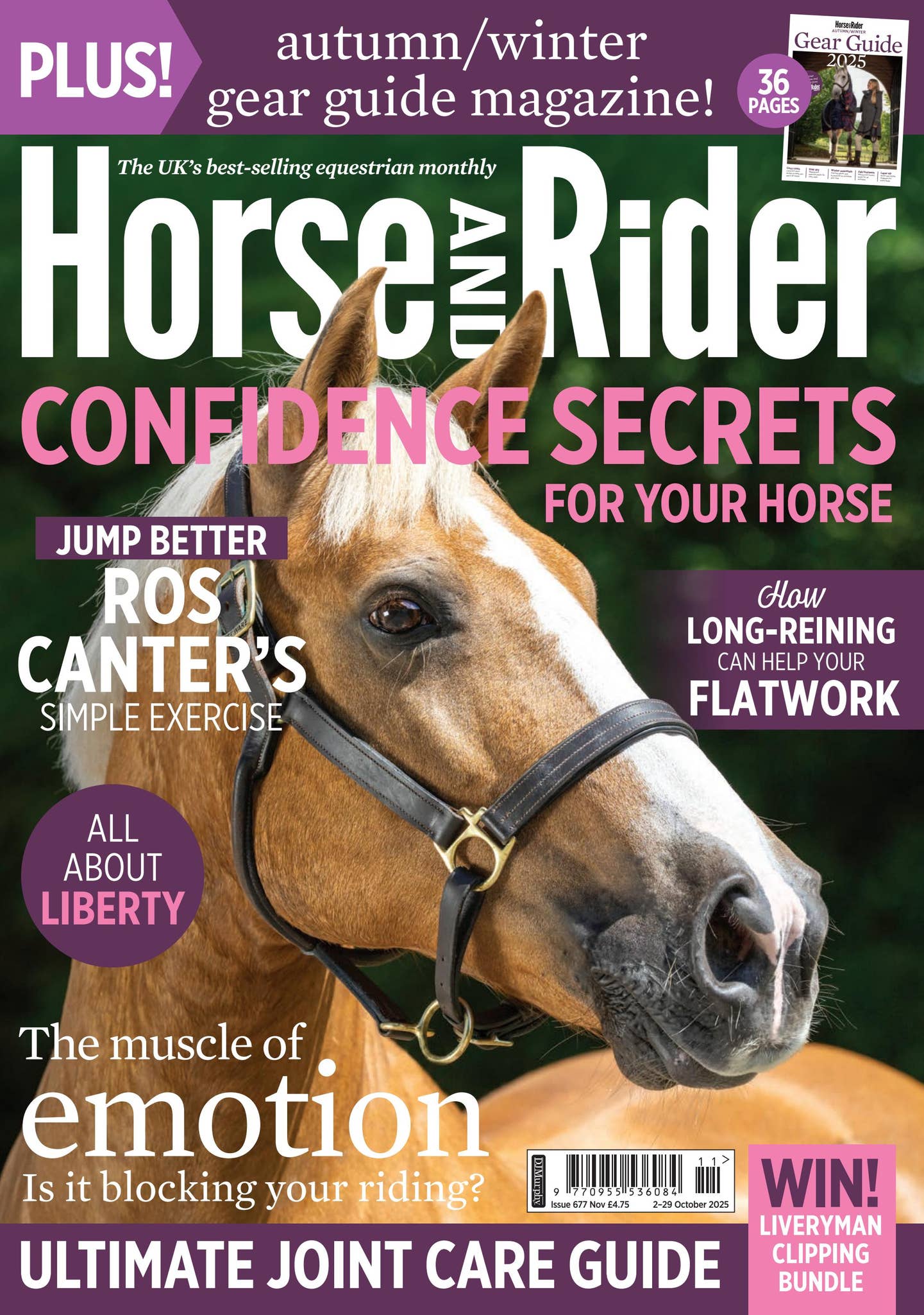 New Riders Publishing Horse&Rider Magazine - November 2025 by DJ Murphy (Publishers) Ltd - Issuu