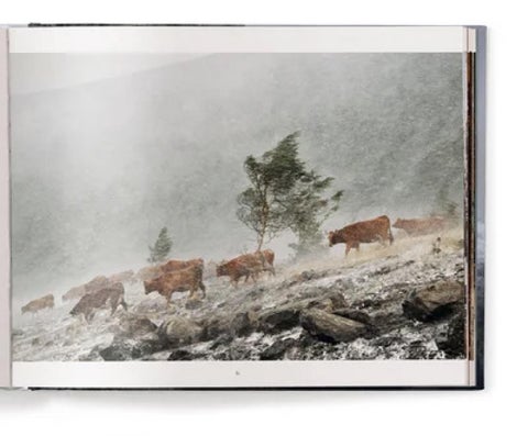 ACC Art Books 灯饰目录 · Winterland 第 9 页