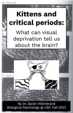 Hillenbrand example zine 