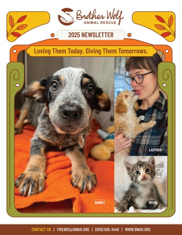 BWAR Fall 2025 Newsletter