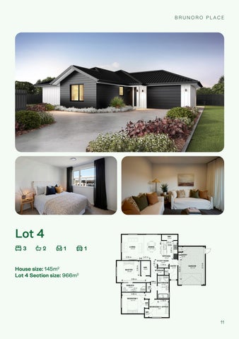 Welcome to Brunoro Place 第 11 页