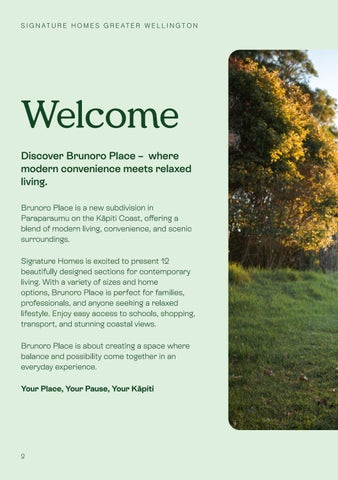 Welcome to Brunoro Place 第 2 页