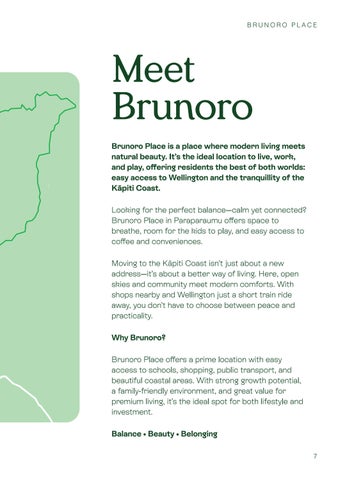 Welcome to Brunoro Place 第 7 页