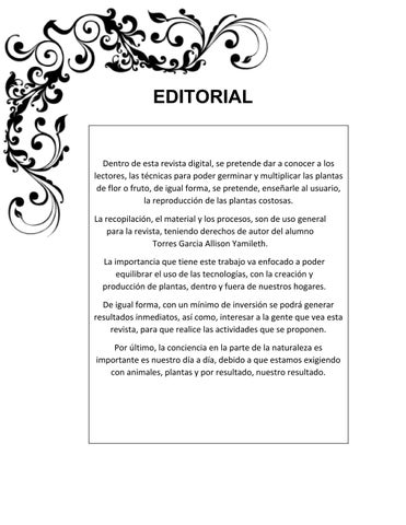 EDITORIAL- REVISTA 