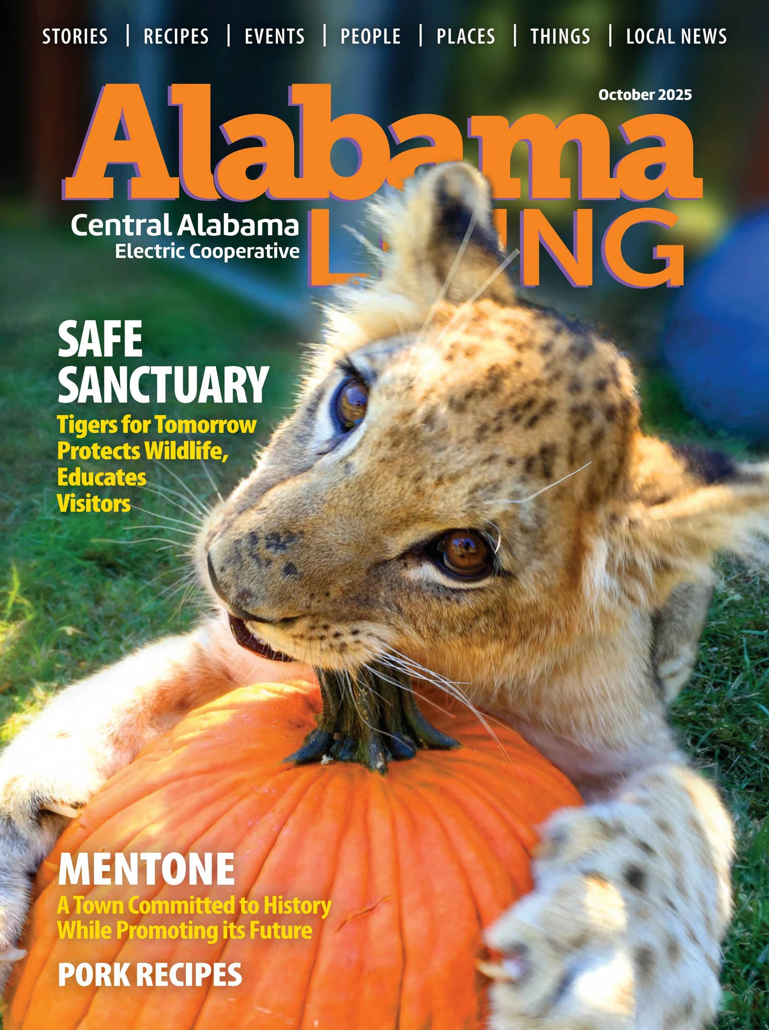 October 2025 Central Alabama EC by Alabama Living - Issuu