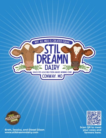 Stil Dreamn Dairy 4page Flyer v2 by Eugenia Schmalhorst - Issuu