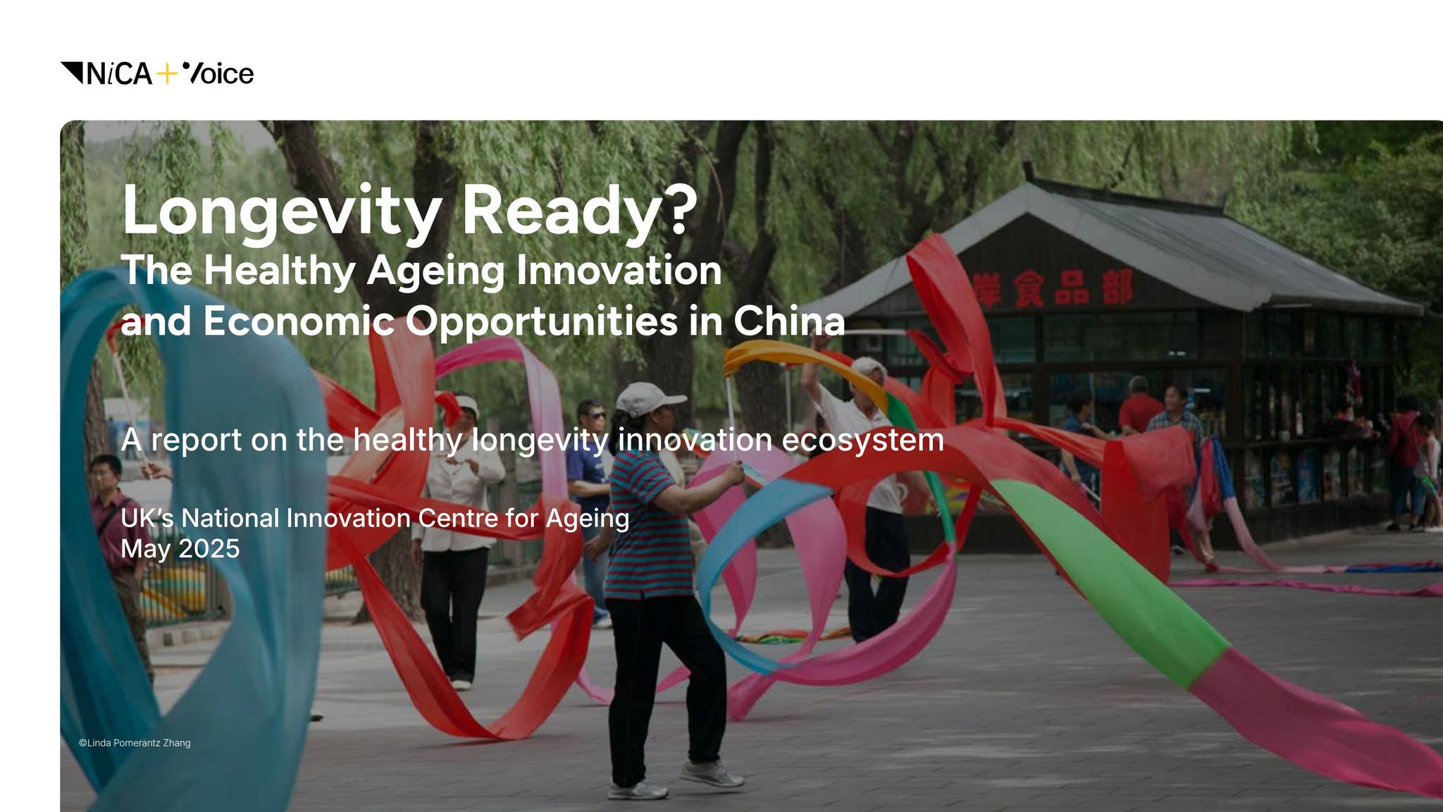 Longevity Ready? The Healthy Ageing Innovation and Economic ...