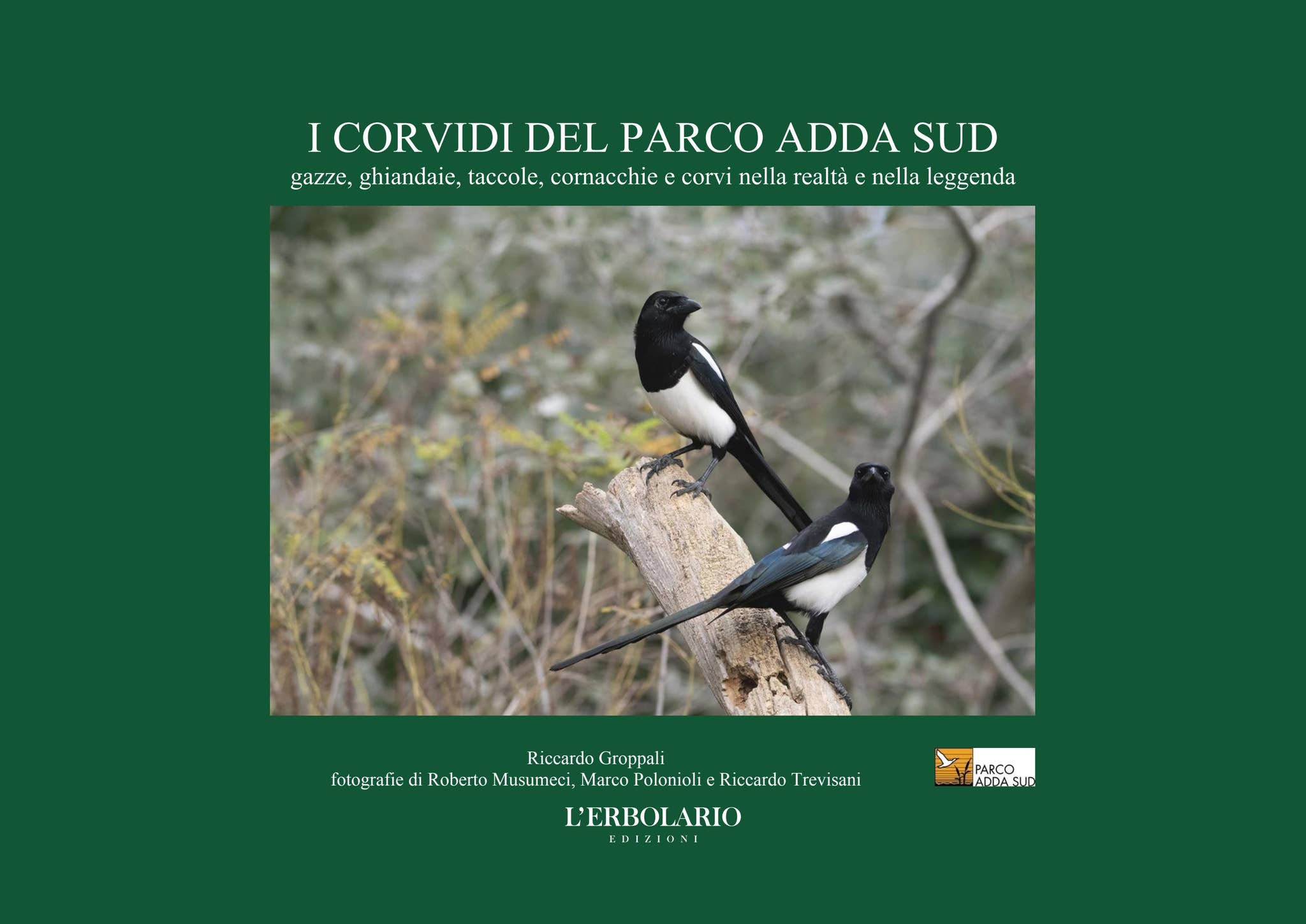 379310ea-cfdc-4e73-8d46-994937a5f23f.jpg, image size:2048x1449