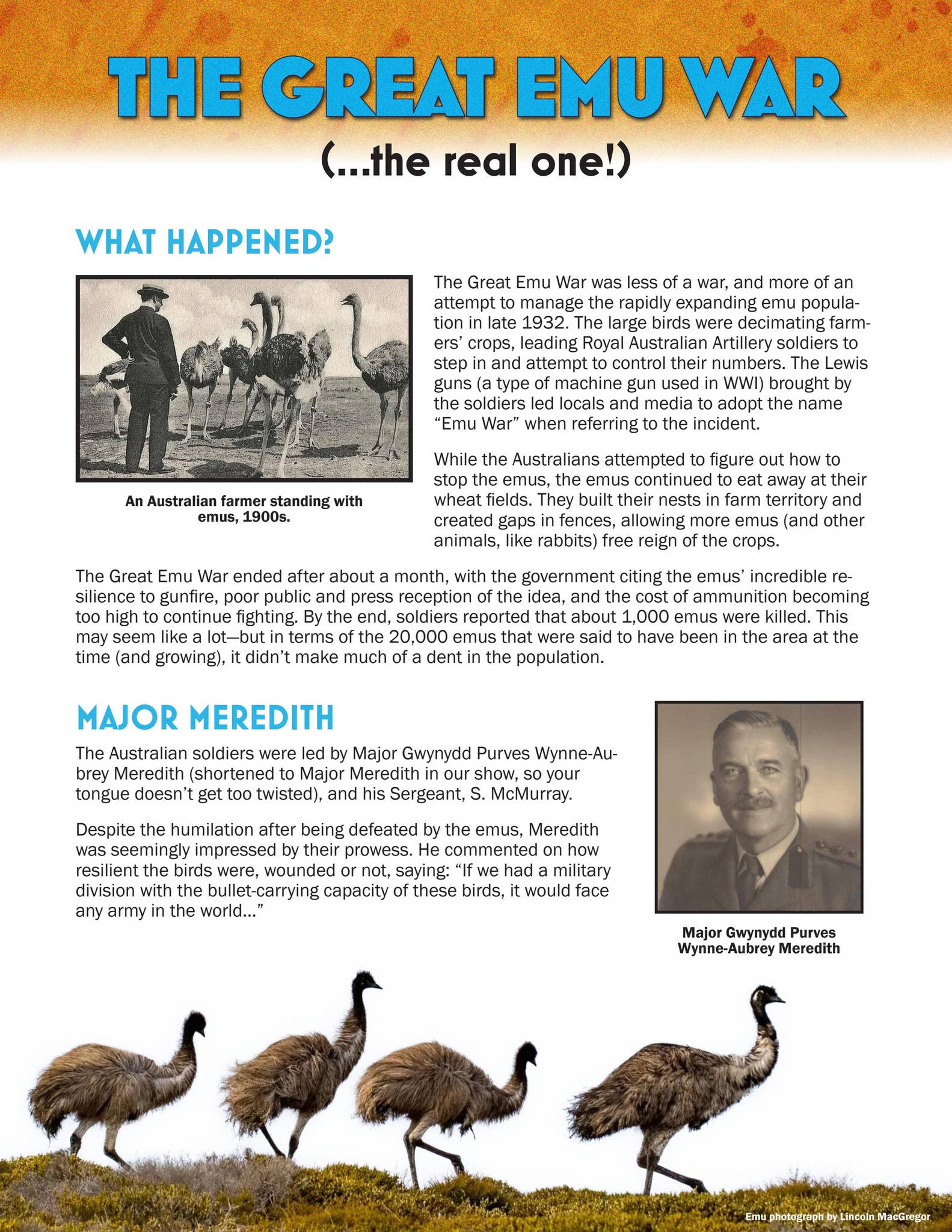 The Great Emu War Post-Show Info by Goodspeed Musicals - Issuu