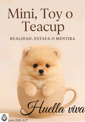 Huella Viva (2): Pomerania Mini, Toy o Teaccup  Realidad, estafa o mentira