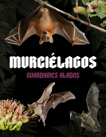 MURCIELAGOS GUARDIANES ALADOS