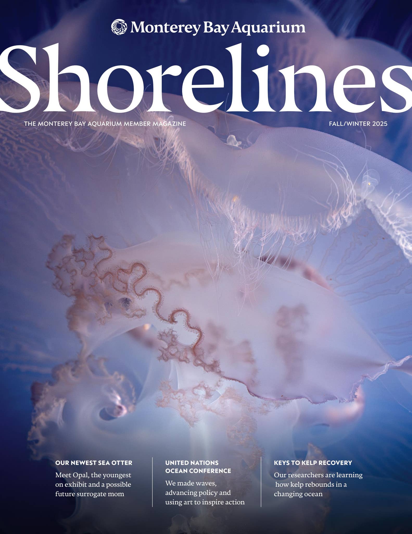 VW ater Ski Fashions Hit The '90s!, image size:1583x2048