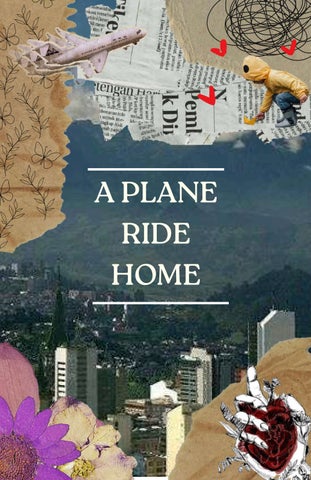 planeridehome Publisher Publications - Issuu