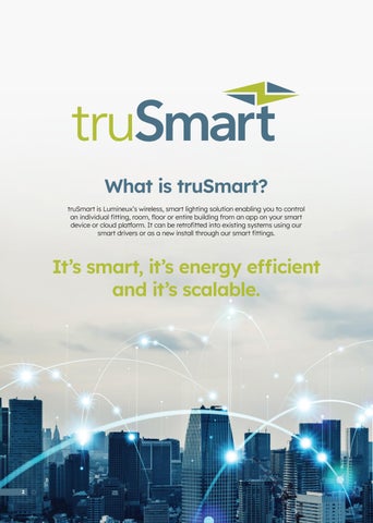 truSmart 智能 灯饰 指南 第 2 页
