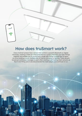 truSmart 智能 灯饰 指南 第 3 页