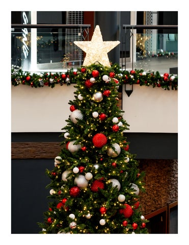 Dekra-Lite Industries, Inc. 灯饰目录 · 2025 Christmas Essentials | 灯饰 第 23 页