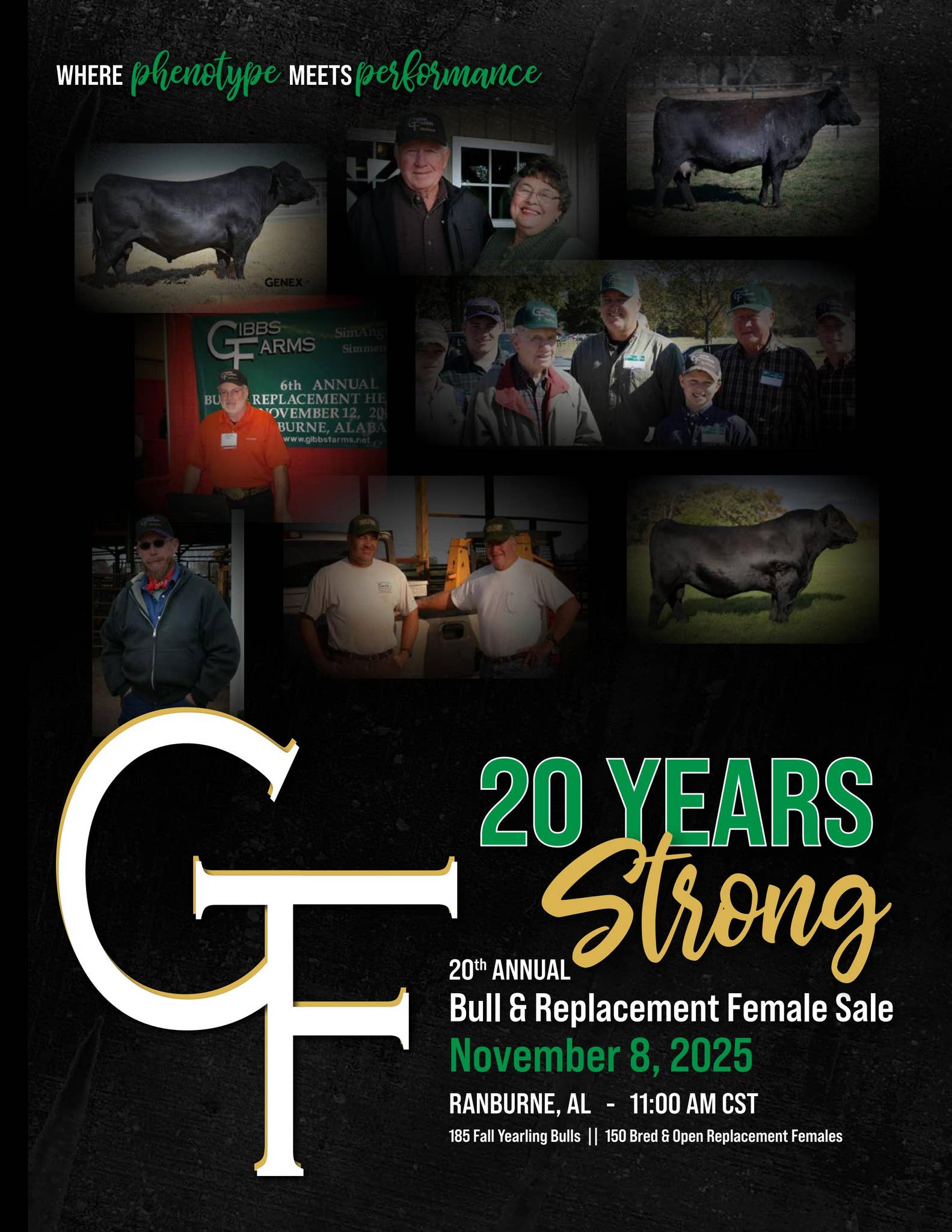 2025 Gibbs Farms Fall Sale by Julie Murnin - Issuu