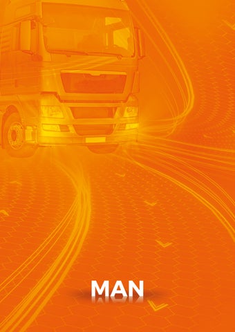 InterCars SA Trucklight 灯饰目录 ENG PL 第 22 页