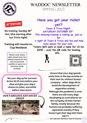 WADDOC SUMMER 2025Newsletter 