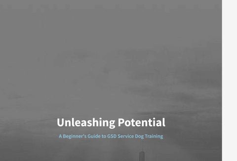 Unleashing Potential A Beginner's Guide to GSD Service Dog Training