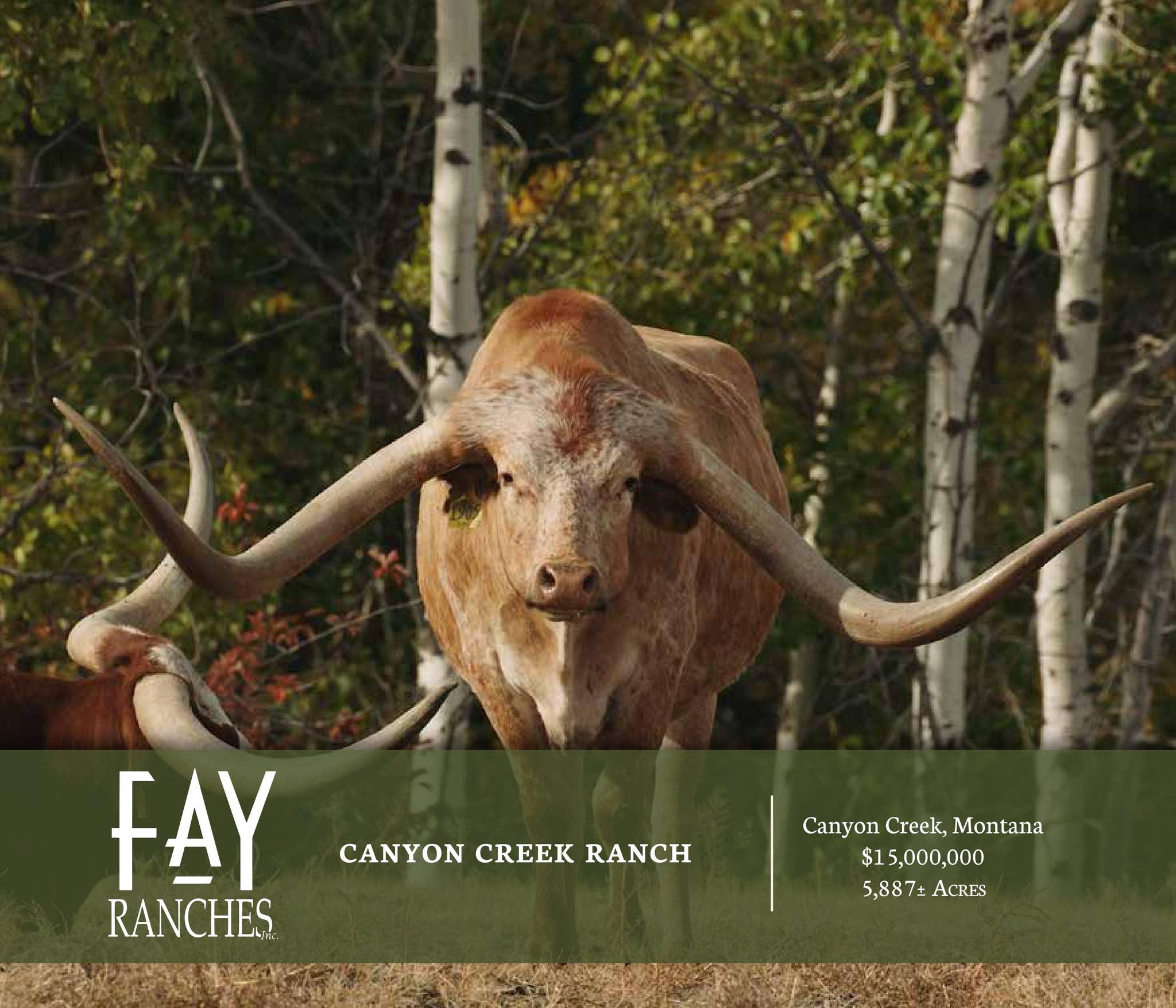 SOLD: Canyon Creek Ranch | Fay Ranches by Fay Ranches - Issuu
