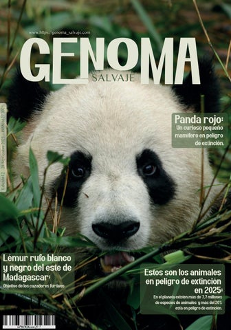 animales revista