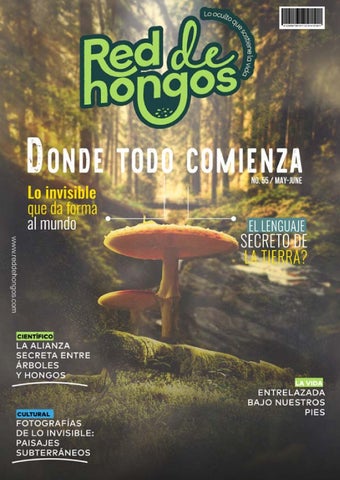 Revista hongos