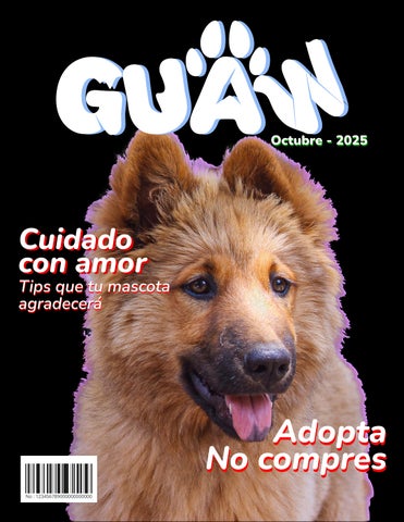 Revista Guaw