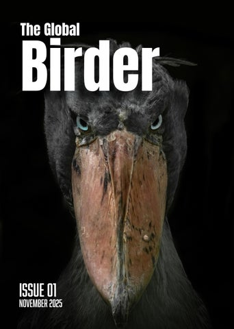 The Global Birder - Issue 01 - November 2025 - Official Teaser