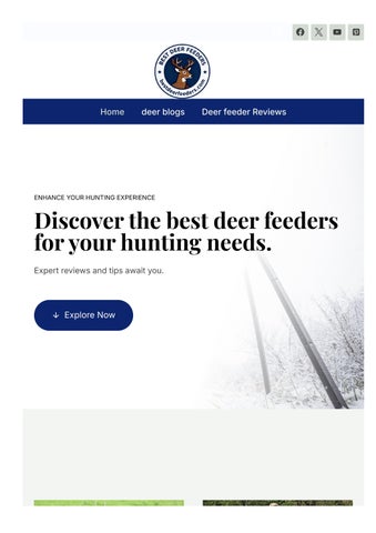 bestdeerfeeders-com-...
