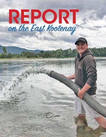Report on the East Kootenay