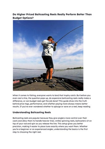 Do Higher Priced Baitcasting Reels Really Perform Better Than Budget Options_.docx