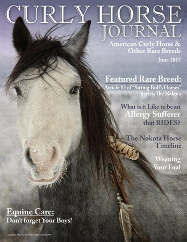 June 2017 Issue NKGDesigns