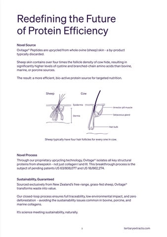 TEO Ovitage Sheep Science Technology 第 3 页