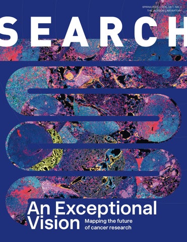 Search (18-1) - Spring 2025