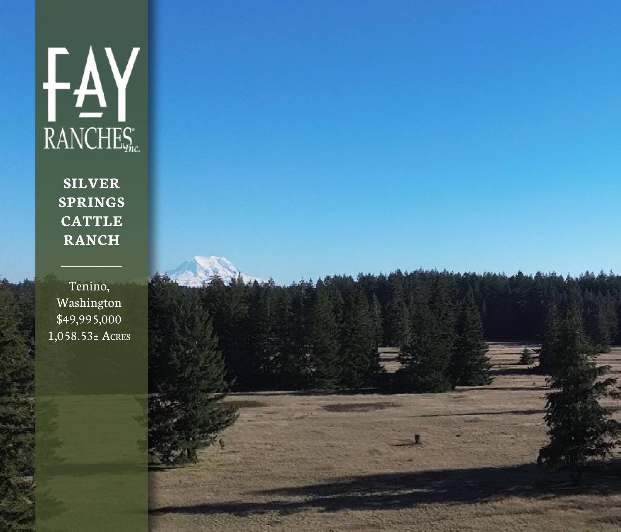 Spring Catle Ranches Silver Springs Cattle Ranch | Fay Ranches by Fay Ranches - Issuu