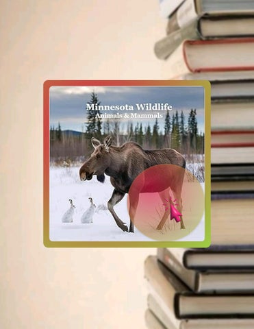 Grab Ebook Billy Grinslott by Billy Grinslott