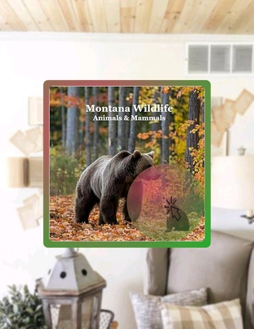 Grab Ebook Billy Grinslott by Billy Grinslott