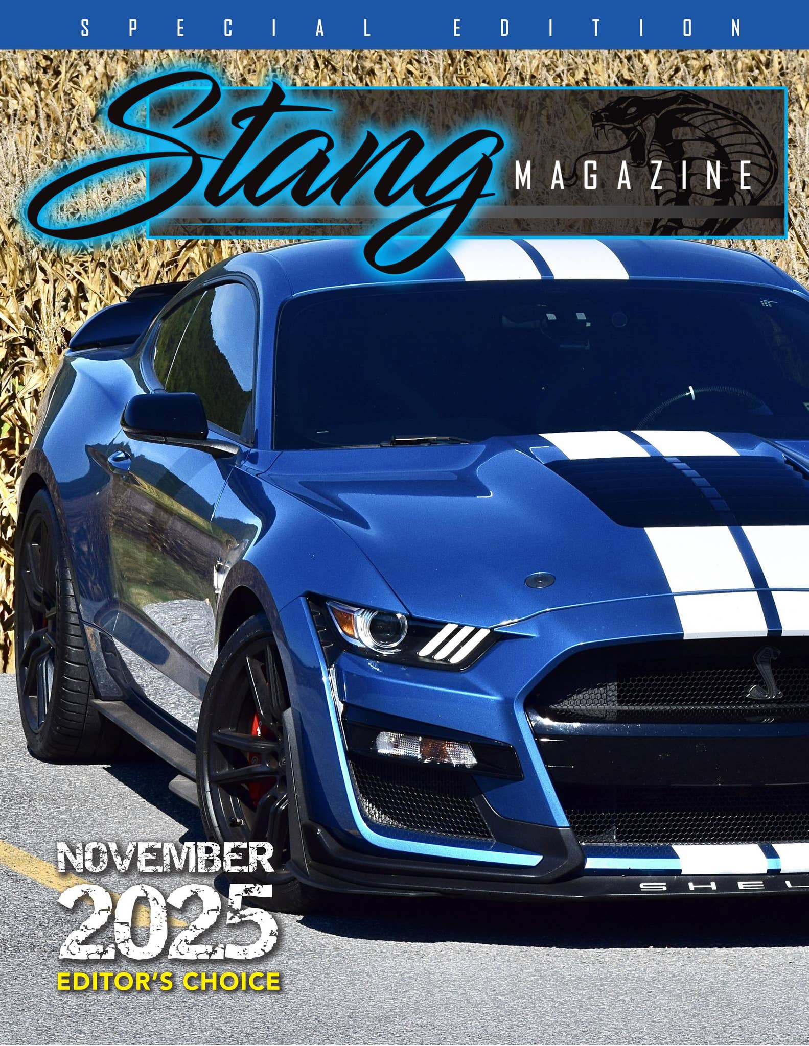 STANG Magazine Special Edition Issue: November 2025 Editor's