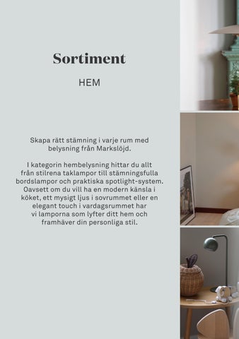 branding folder - svenska 第 6 页