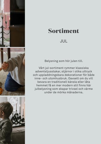 branding folder - svenska 第 9 页