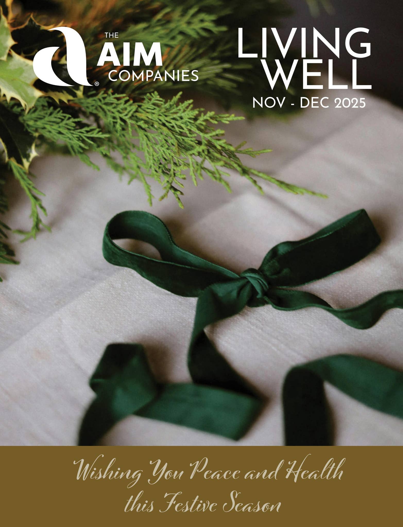 Aims Rrap December SA Living Well – November-December 2025 by The AIM Companies - Issuu