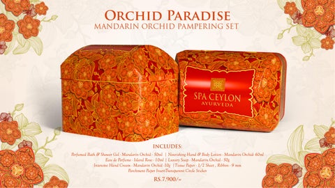 Orchid Paradise Festive 灯饰产品集 2025 第 13 页