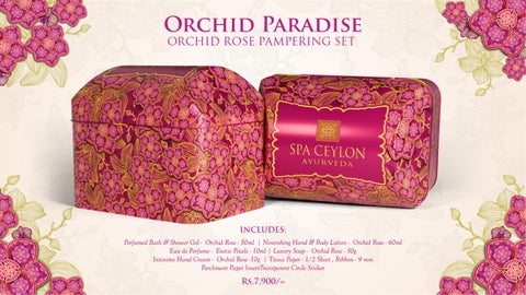 Orchid Paradise Festive 灯饰产品集 2025 第 14 页
