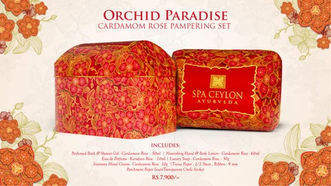 Orchid Paradise Festive 灯饰产品集 2025 第 15 页