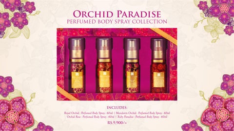 Orchid Paradise Festive 灯饰产品集 2025 第 17 页
